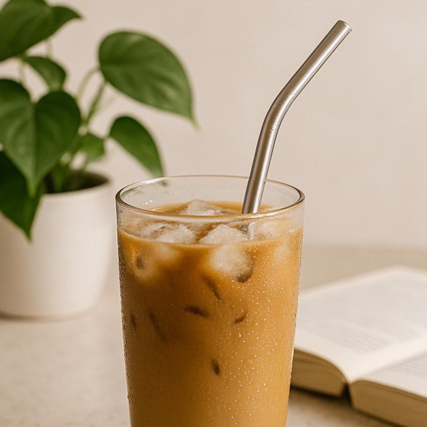 Stainless Steel Straw Set-D2